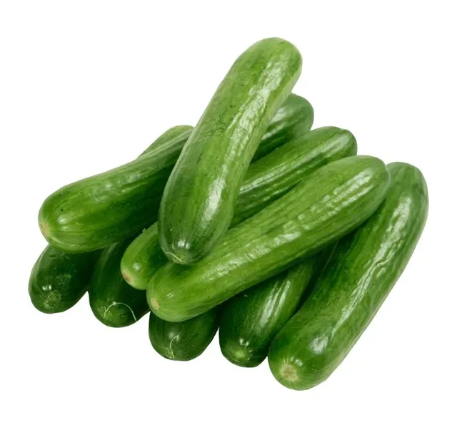 Farm Fresh Cucumber 1 kg