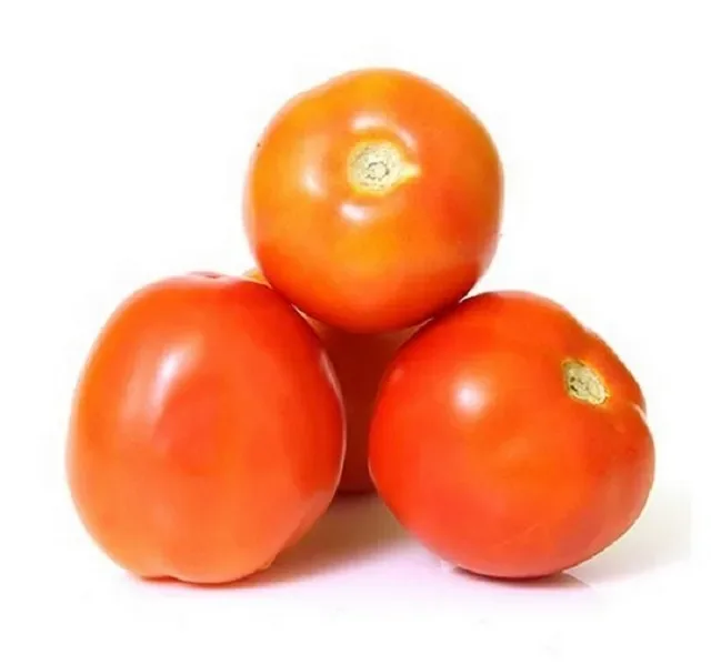 Farm Fresh Tomato 1 kg