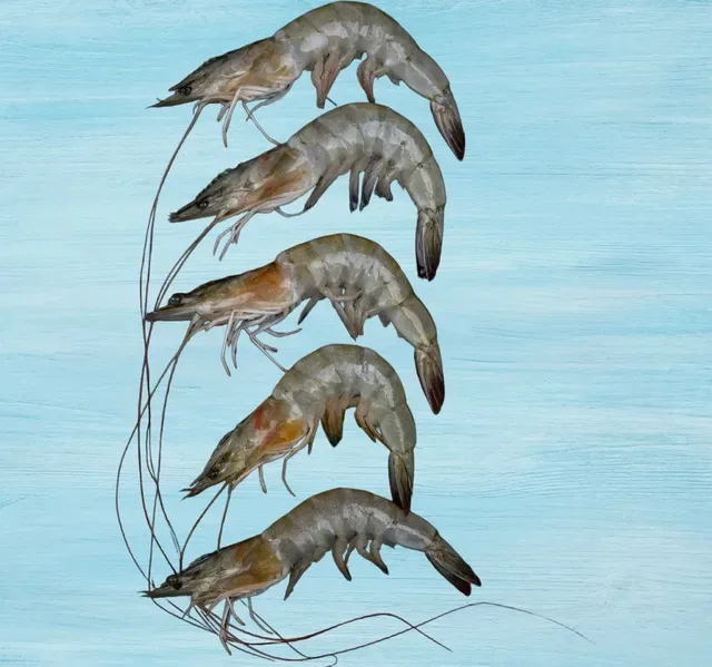 Fresh Prawns Medium 40/50 350 g