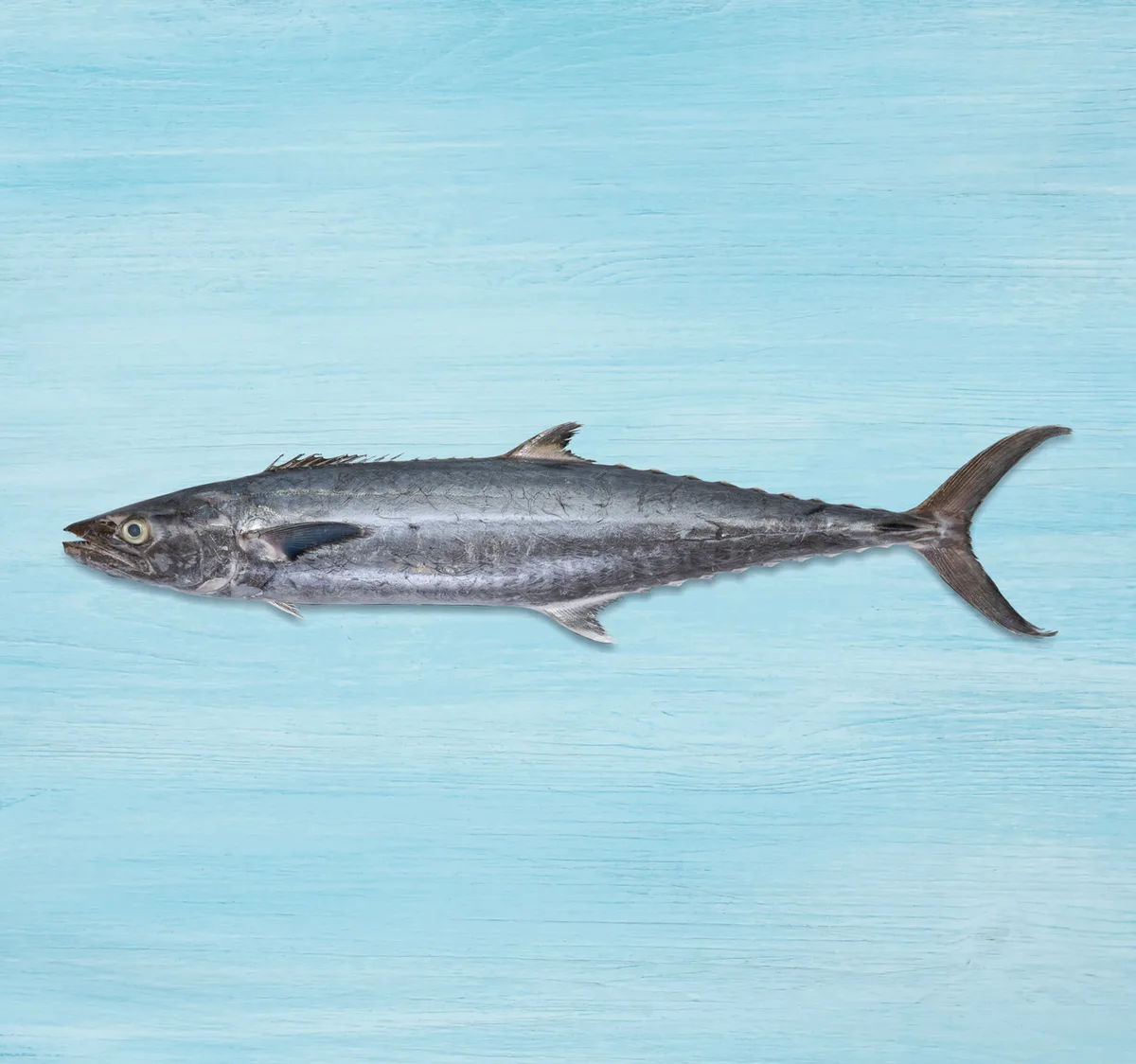 King Fish Medium Whole Cleaned 2 kg
