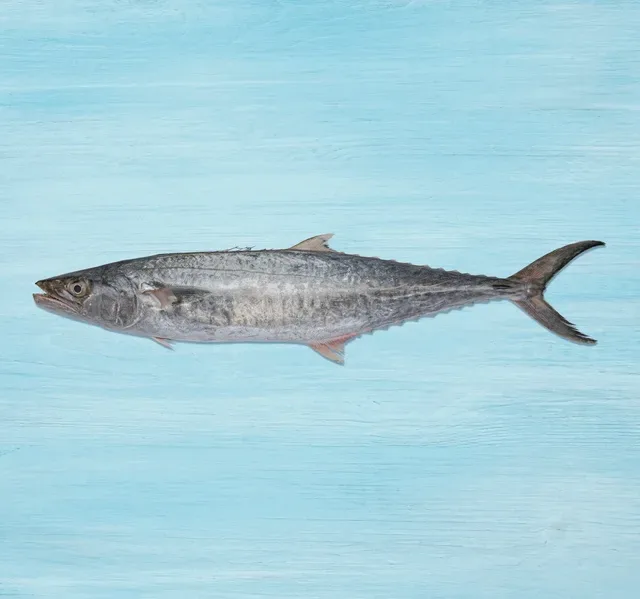 King Fish Small Whole Cleaned 2 kg