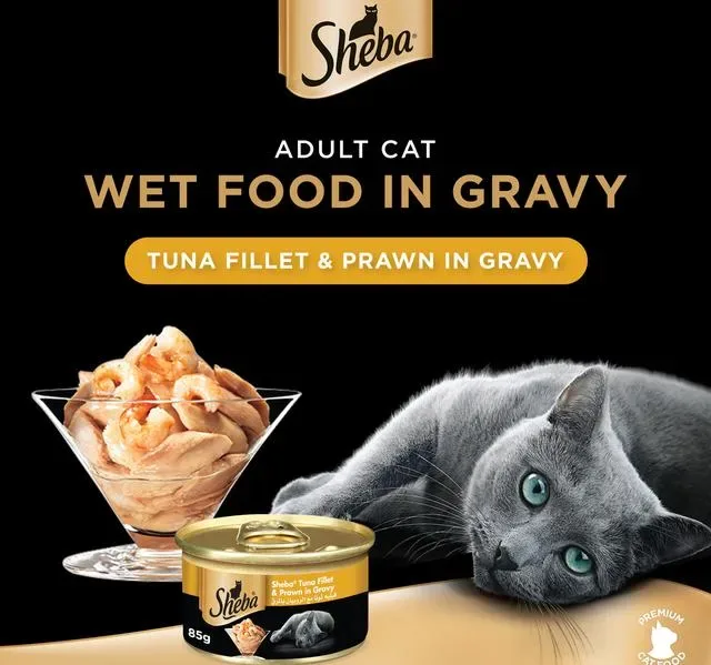 Sheba Tuna Fillet and Prawn in Gravy Cat Food 85 g hover image