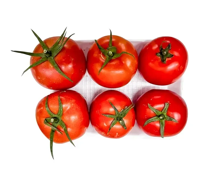 Tomato Tray Pack 600 g