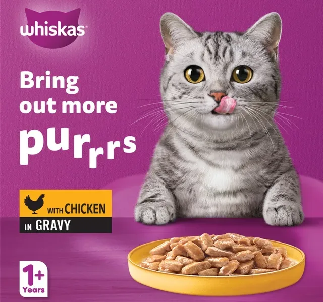 Whiskas Chicken in Gravy Can Wet Cat Food for 1+ Years Adult Cats 400 g hover image